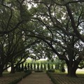Create Listing: Whitney Plantation + Swamp Tour • Large Airboat Ride- 7.5hrs