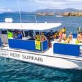 Create Listing: Do It All Trip: Snorkel, Pizza and Sunset - 5.5hrs